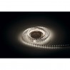 Artecta A0852561 - Havana Ribbon 6000K 75-24V - 2