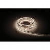 Artecta A0856547 - Havana Ribbon 2400K 120-24V - 2 Artecta A0856547 - Havana Ribbon 2400K 120-24V - 2