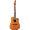 Ibanez ALT30-DOM - gitara akustyczna - 1 Ibanez ALT30-DOM - gitara akustyczna - 1