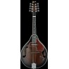 Ibanez M510E-DVS - mandolina - 2