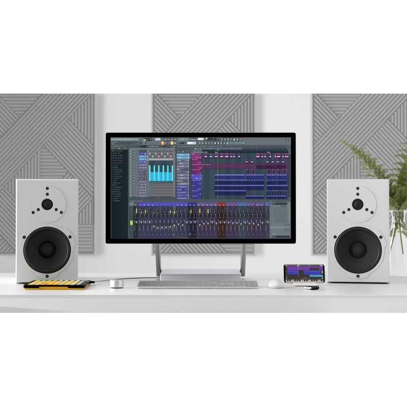 Image Line FL Studio 21 Producer Edition - Program DAW - 2
