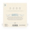 D'Addario EJ72 - Struny do mandoli (14-49) - 3 D'Addario EJ72 - Struny do mandoli (14-49) - 3