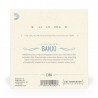 D'Addario EJ69 - Struny do banjo 5-strunowe (9-20) - 3 D'Addario EJ69 - Struny do banjo 5-strunowe (9-20) - 3