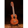 Ortega RGLE18FMH - guitarlele - 9 Ortega RGLE18FMH - guitarlele - 9