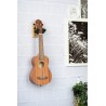 Ortega OUH-1NT - uchwyt ścienny na ukulele lub mandoline - 4