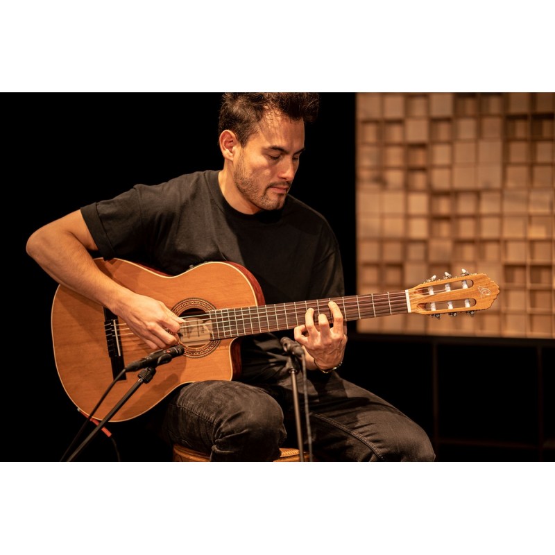 Ortega RCE180GT - gitara klasyczna 4/4 - 5 Ortega RCE180GT - gitara klasyczna 4/4 - 5