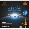 Ortega ATB44NH - struny nylonowe do gitary klasycznej - 1