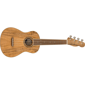 Fender Zuma Exotic Concert Ukulele, Walnut Fingerboard, Spalted Maple - 1