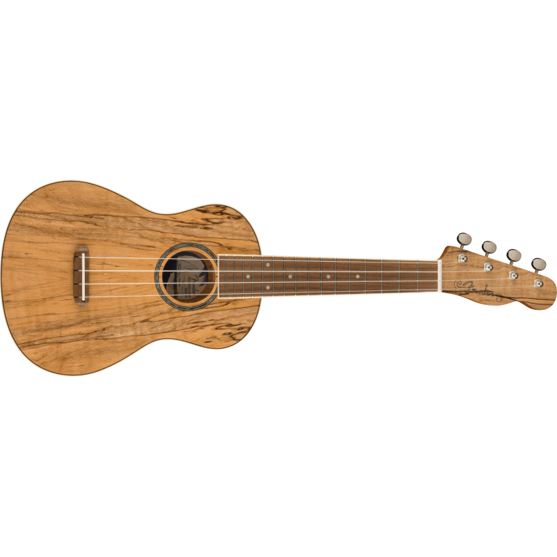 Fender Zuma Exotic Concert Ukulele, Walnut Fingerboard, Spalted Maple - 1