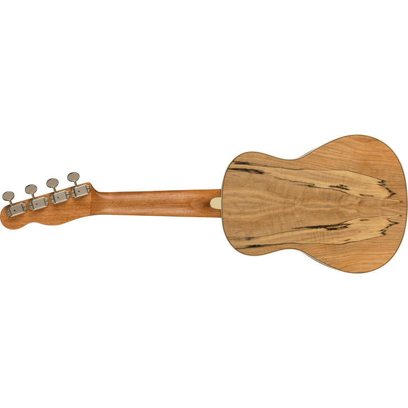 Fender Zuma Exotic Concert Ukulele, Walnut Fingerboard, Spalted Maple - 2