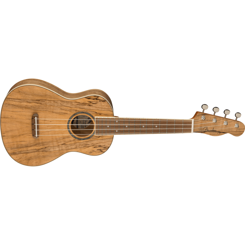 Fender Zuma Exotic Concert Ukulele, Walnut Fingerboard, Spalted Maple - 3