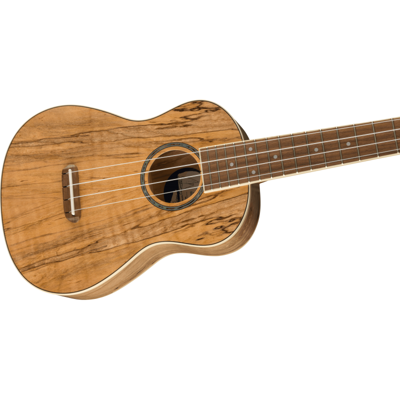 Fender Zuma Exotic Concert Ukulele, Walnut Fingerboard, Spalted Maple - 4