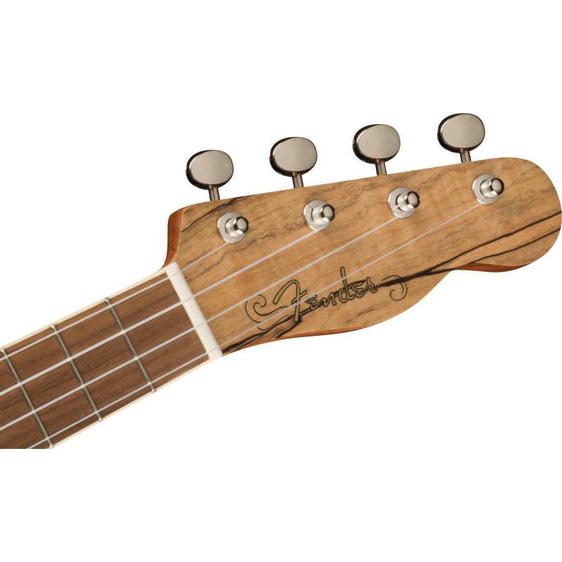 Fender Zuma Exotic Concert Ukulele, Walnut Fingerboard, Spalted Maple - 5