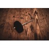 Meinl Percussion BBB3 - Bijak do cajon - 2 Meinl Percussion BBB3 - Bijak do cajon - 2
