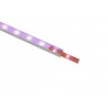 EUROLITE profil aluminiowy do taśm LED 2m - 5 EUROLITE profil aluminiowy do taśm LED 2m - 5