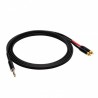 REDS AU11100 BX - kabel audio JSsls2RCA 10 m