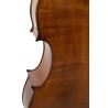 GEWA GS403780 Bas Georg Walther - 2 GEWA GS403780 Bas Georg Walther - 2