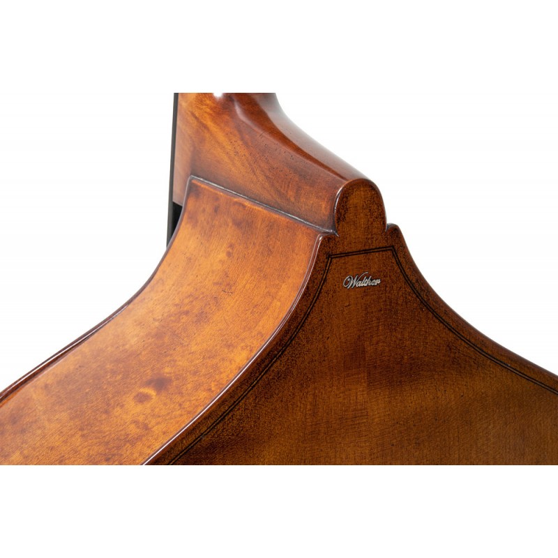 GEWA GS403780 Bas Georg Walther - 5 GEWA GS403780 Bas Georg Walther - 5