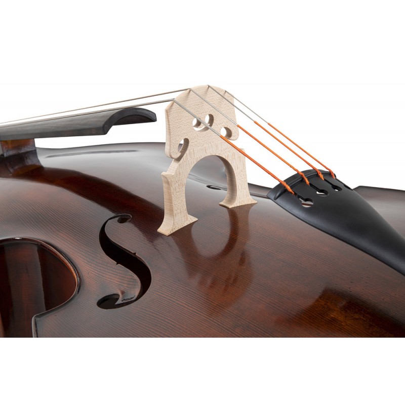 GEWA GS403770 Bas Georg Walther - 5 GEWA GS403770 Bas Georg Walther - 5