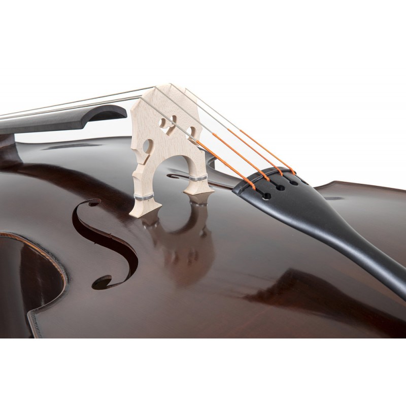 GEWA GS403755 Bas Georg Walther - 5 GEWA GS403755 Bas Georg Walther - 5