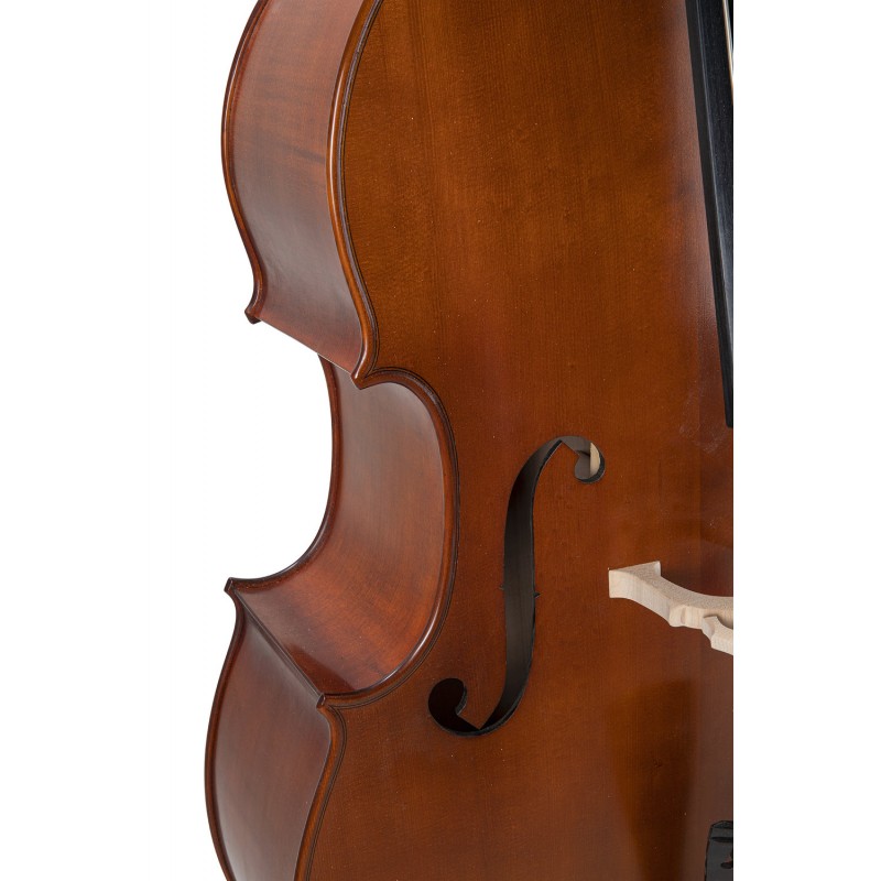 GEWA GS403352 Bas Premium Line - cały lity - 5 GEWA GS403352 Bas Premium Line - cały lity - 5