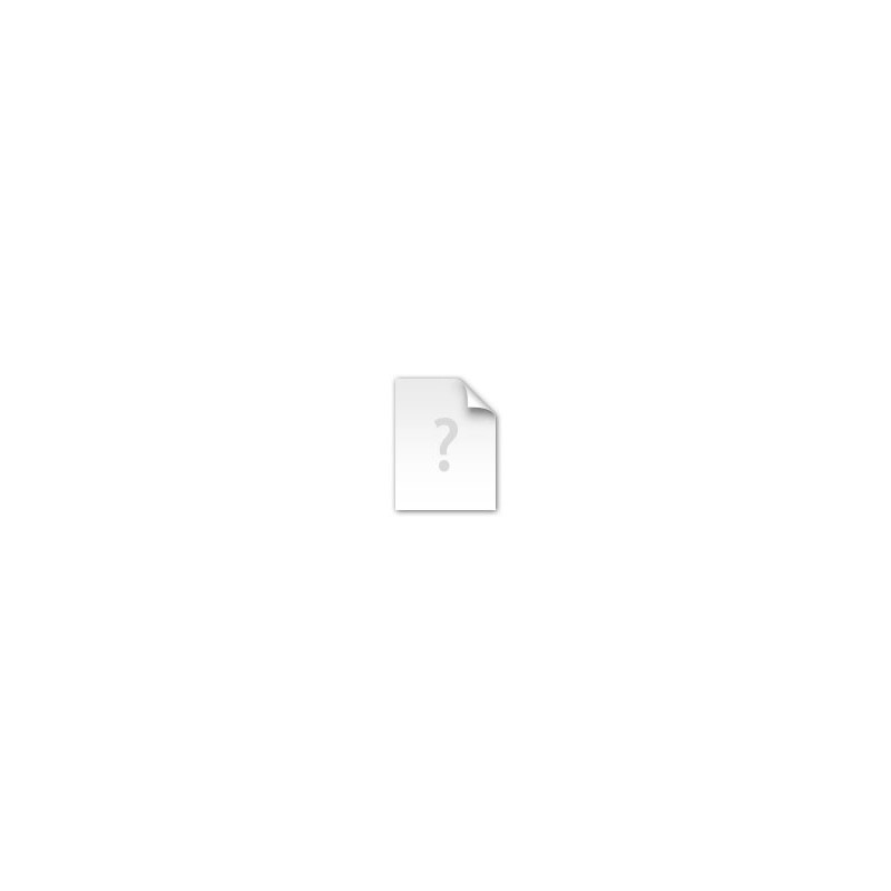 GEWA GS4000720000 Skrzypce Maestro 1 - 4 GEWA GS4000720000 Skrzypce Maestro 1 - 4