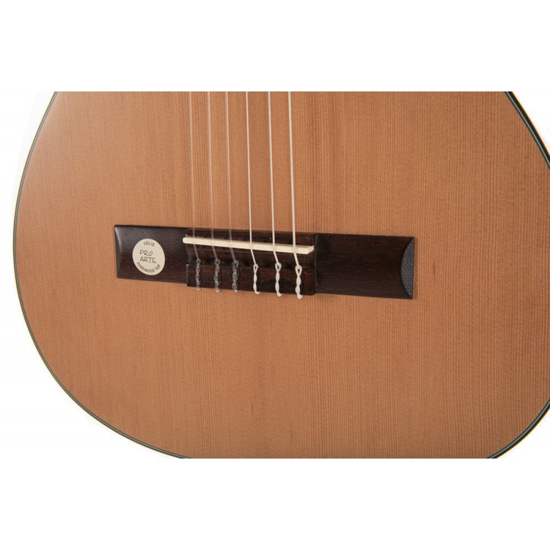GEWA 500153 Gitara klasyczna Pro Arte Maestro CM-50 - 5 GEWA 500153 Gitara klasyczna Pro Arte Maestro CM-50 - 5