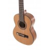 GEWA 500151 Gitara klasyczna Pro Arte Maestro CM-25 - 3 GEWA 500151 Gitara klasyczna Pro Arte Maestro CM-25 - 3