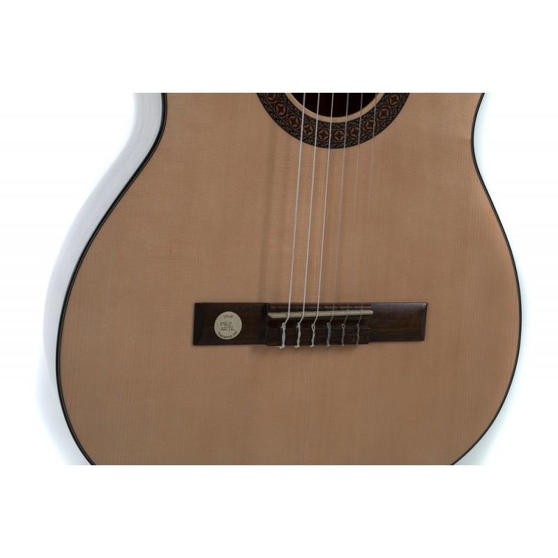 GEWA 500130 Gitara klasyczna Pro Arte GC 210 A - 4 GEWA 500130 Gitara klasyczna Pro Arte GC 210 A - 4