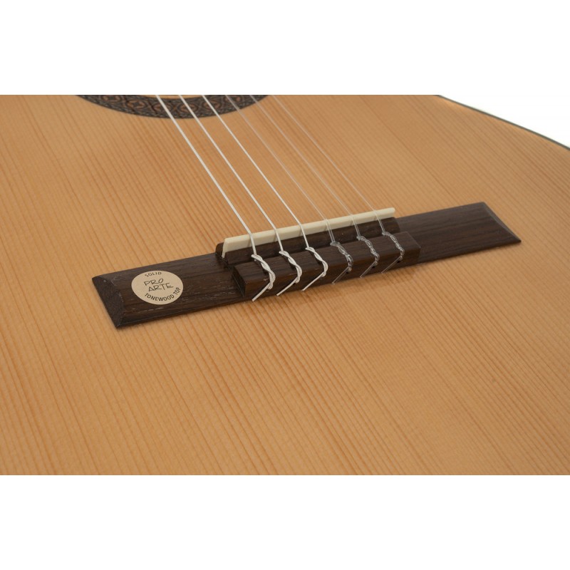 GEWA 500110 Gitara klasyczna Pro Arte GC 100 A - 2 GEWA 500110 Gitara klasyczna Pro Arte GC 100 A - 2