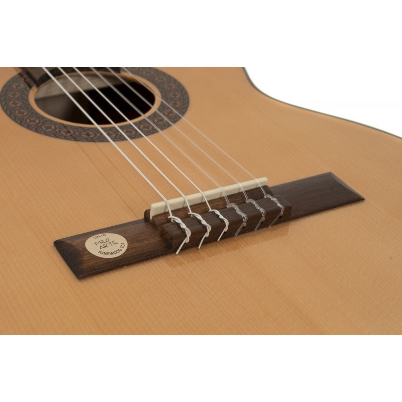 GEWA 500103 Gitara klasyczna Pro Arte GC 50 A - 2 GEWA 500103 Gitara klasyczna Pro Arte GC 50 A - 2