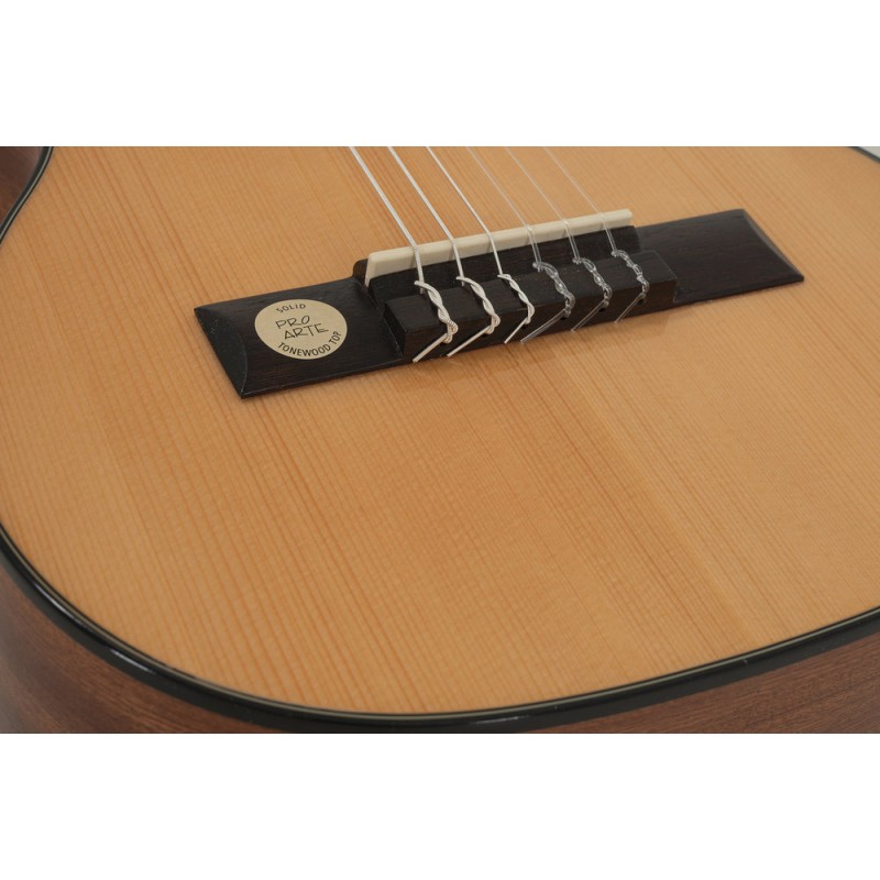 GEWA 500100 Gitara klasyczna Pro Arte GC 25 A - 2 GEWA 500100 Gitara klasyczna Pro Arte GC 25 A - 2