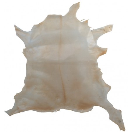 GEWA 464765 Pergamin - 1