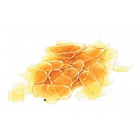 GEWA 405990 Ochrona podstawka skrzypcowego - 1