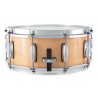 Gretsch GR805655 - Werbel Renown Maple - 3 Gretsch GR805655 - Werbel Renown Maple - 3