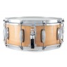 Gretsch GR805655 - Werbel Renown Maple - 4 Gretsch GR805655 - Werbel Renown Maple - 4