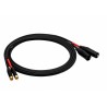 Reds AU5430 BX - kabel 2 x RCA - 2 x XLR M 3m