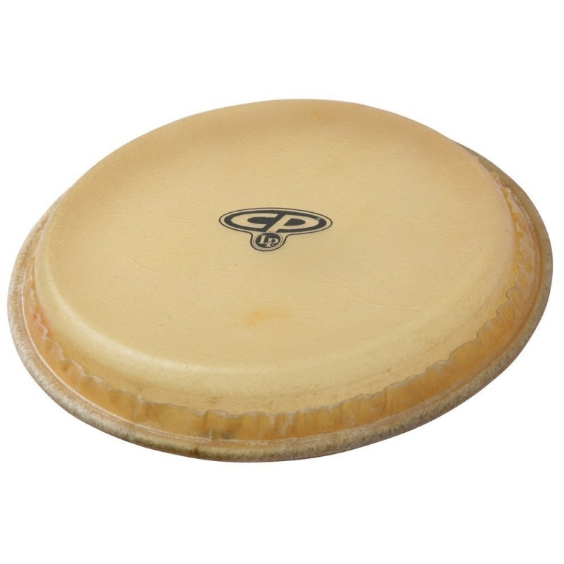 Latin Percussion CP265B - Naciąg do Conga 11" - 1 Latin Percussion CP265B - Naciąg do Conga 11" - 1