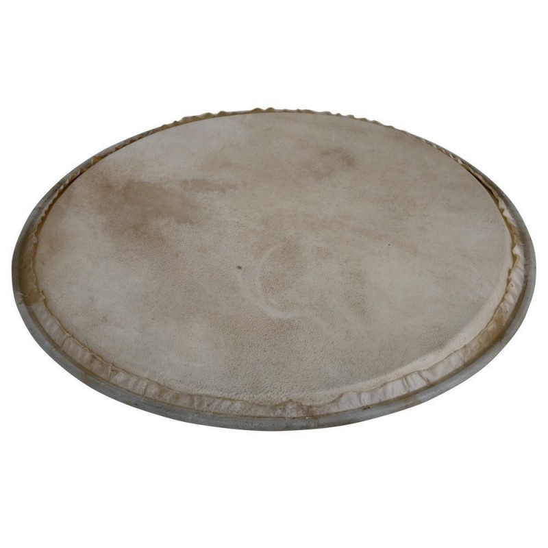 Latin Percussion WB505A - Naciąg perkusyjny Plenera - 1 Latin Percussion WB505A - Naciąg perkusyjny Plenera - 1