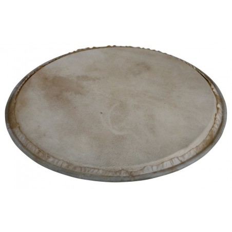 Latin Percussion WB505A - Naciąg perkusyjny Plenera - 1