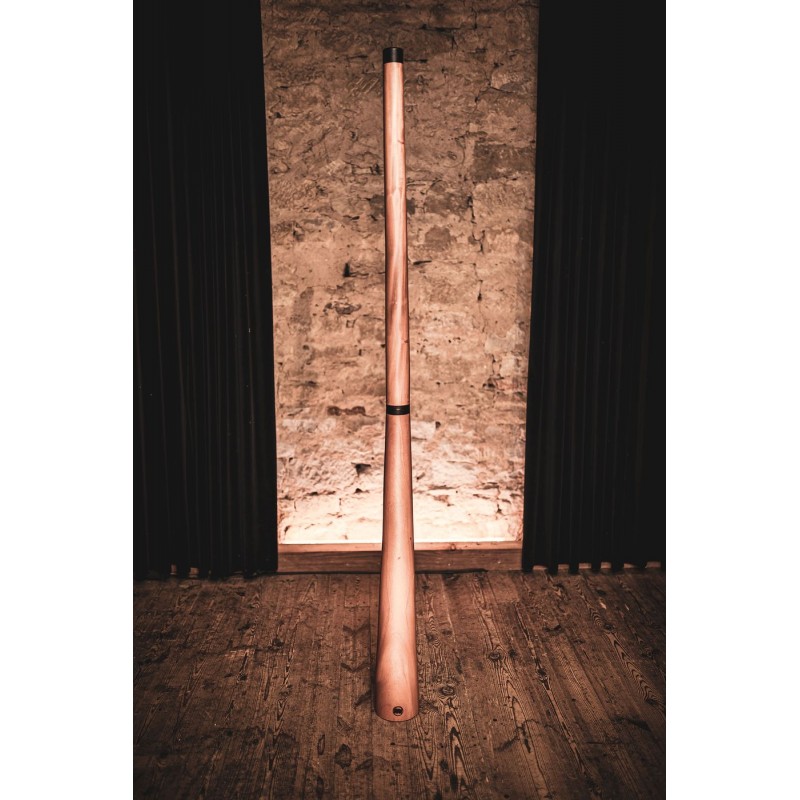 MEINL Sonic Energy DDPROFNTD - Didgeridoo - 10