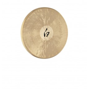MEINL Sonic Energy WG-12 - Gong 12" / 30,48 cm - 1