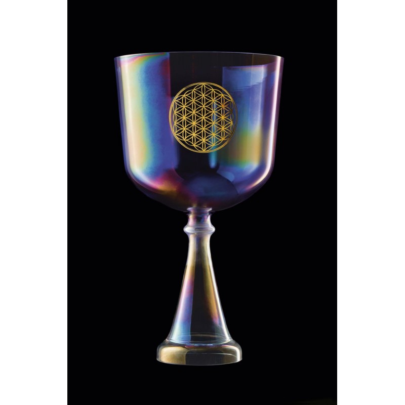 MEINL Sonic Energy CSC8FPFOL - Kielich śpiewający 8" / 20 cm - 4 MEINL Sonic Energy CSC8FPFOL - Kielich śpiewający 8" / 20 cm - 4