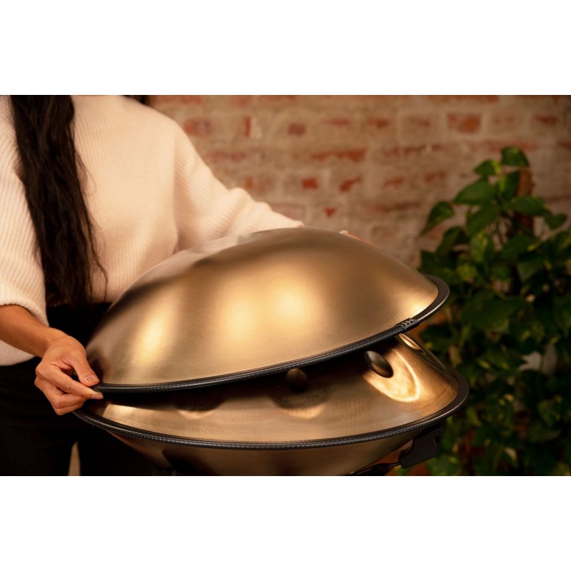 MEINL Sonic Energy HPSTL101 - Sensory Handpan 440 Hz - 5