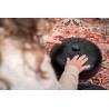 MEINL Sonic Energy STD3BK - Tongue Drum - 6