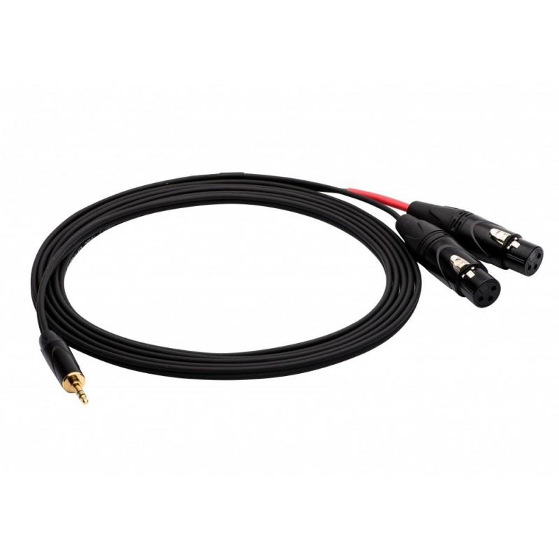 REDS AU3630 BX - kabel audio mJSsls2XLR F 3 m