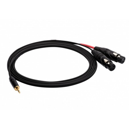 REDS AU3650 BX - kabel audio mJSsls2XLR F 5 m