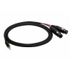 REDS AU3615 BX - kabel audio mJSsls2XLR F 1,5 m