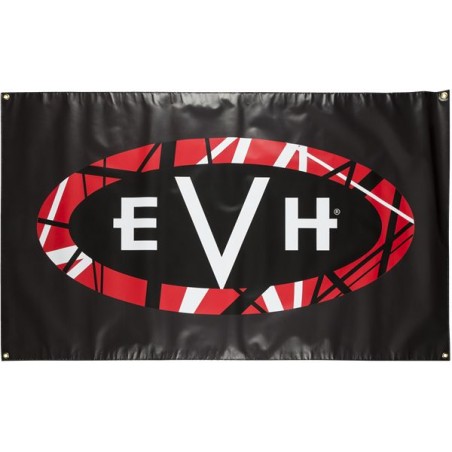 EVH Baner z logo EVH - 1