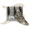 Fender Maskownica Strat, Tex-Mex SSS SHELL - 2
